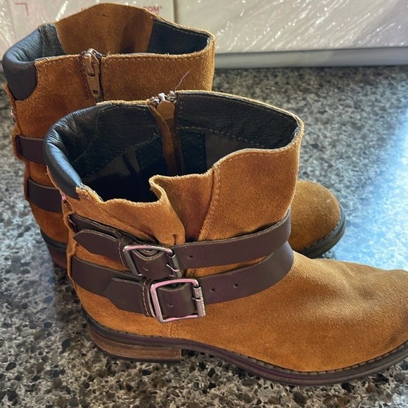 Steve Madden Dormaa Suede Moto Bootie Buckles Size 6.5M side zip double buckle - Picture 4 of 15
